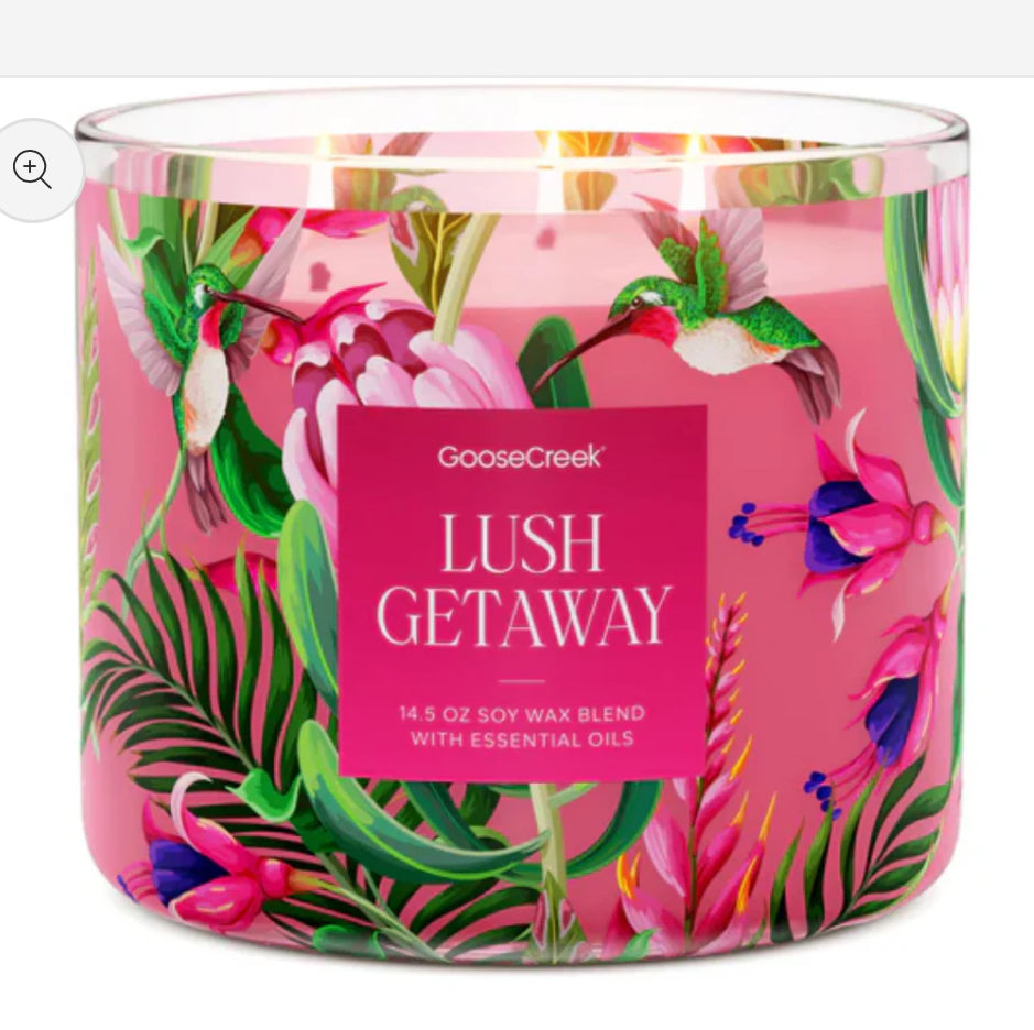 Lush Getaway bundle