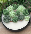 Large Green succulent candle