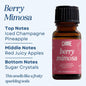 Scented Premium Fragrance Oil: Berry Mimosa