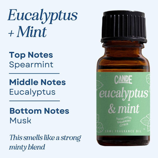 Scented Premium Fragrance Oil: Eucalyptus & Mint