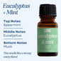 Scented Premium Fragrance Oil: Eucalyptus & Mint