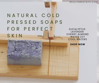 Eucalyptus Mint shea butter and olive oil soap