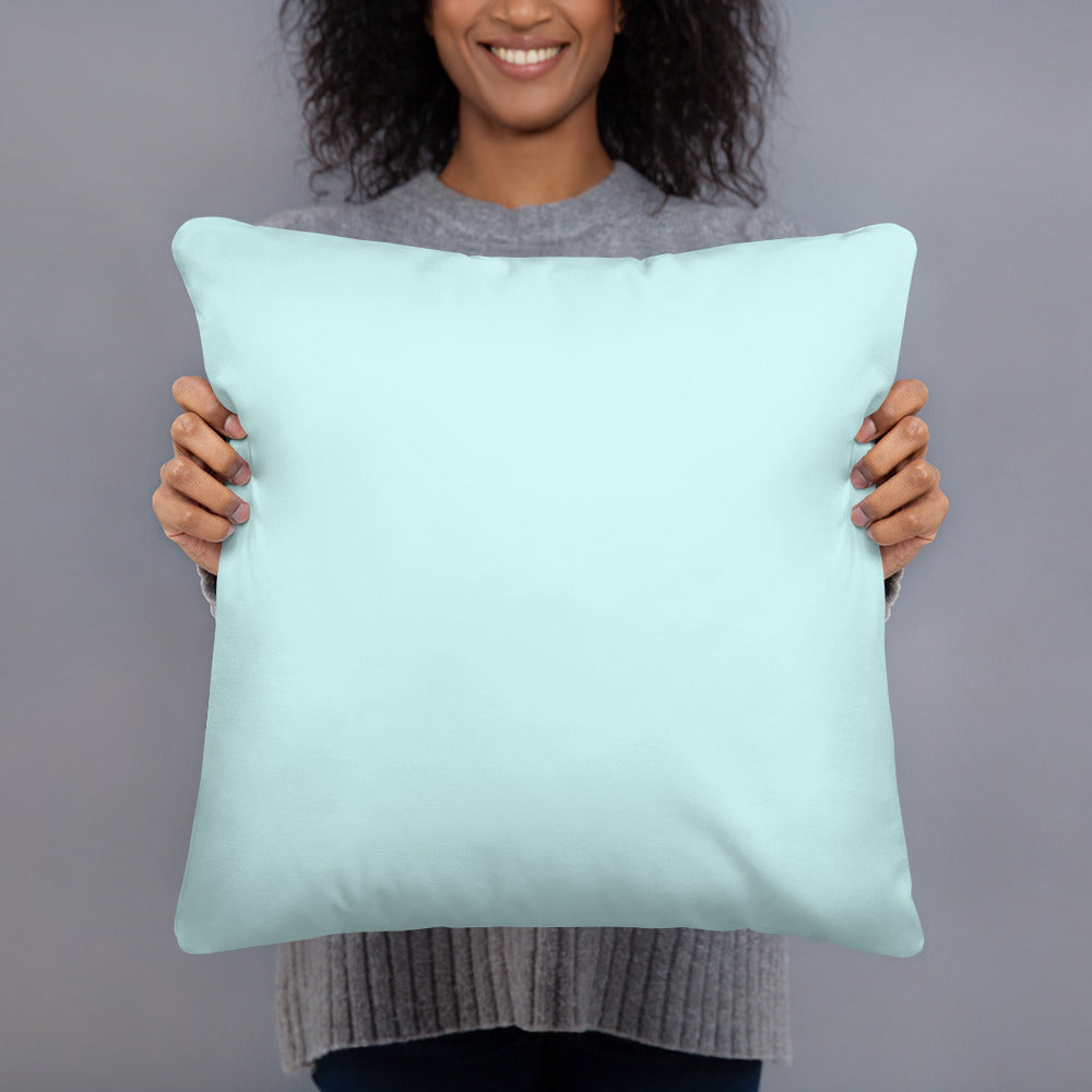 King of the universe pillow