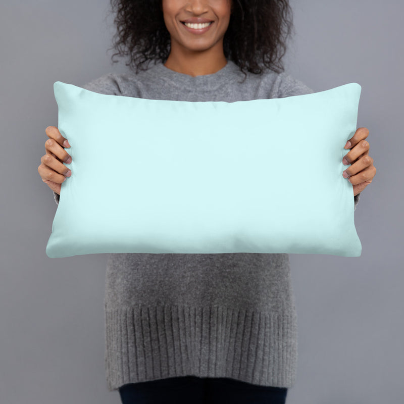 King of the universe pillow